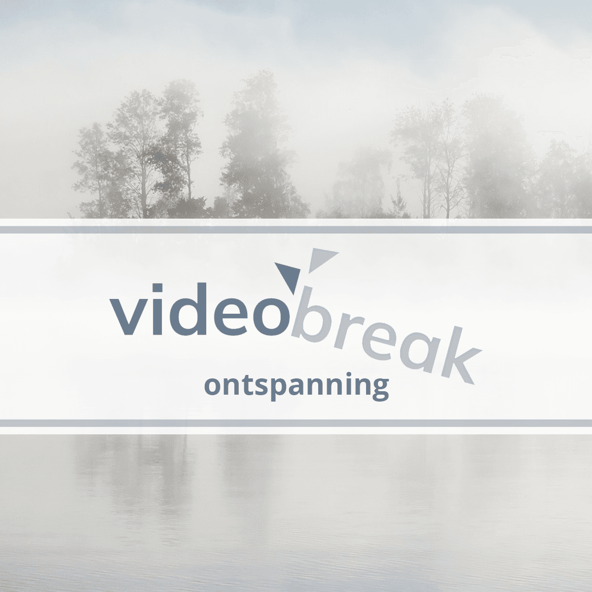 Videobreak